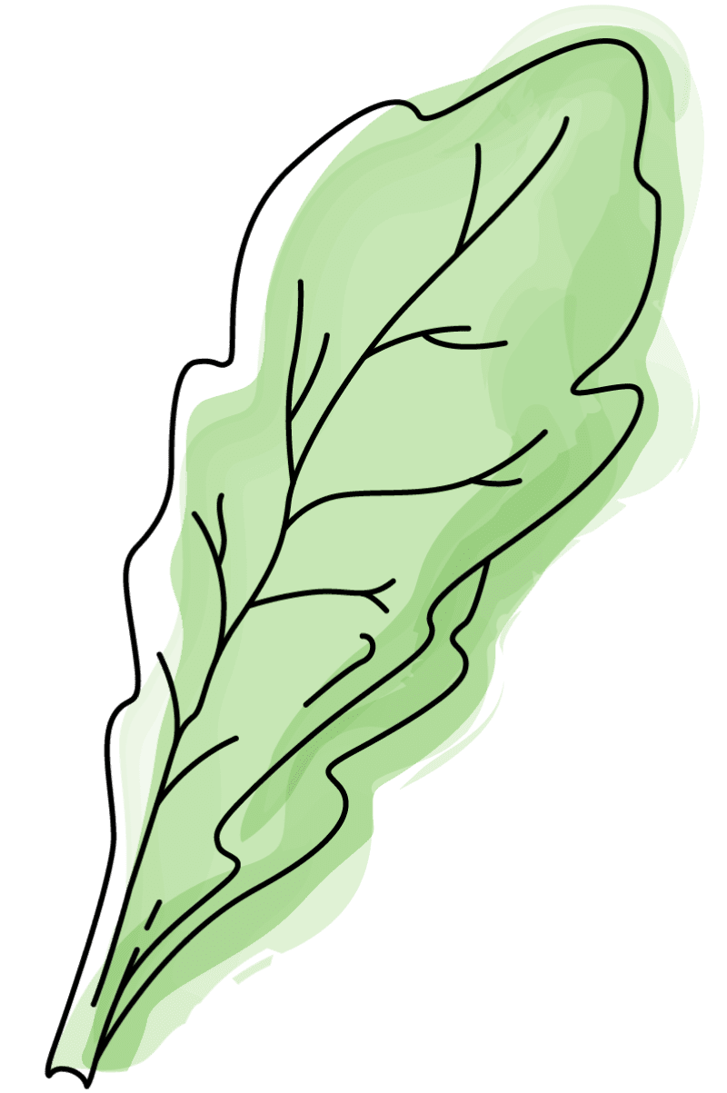 Farm-to-table-13
