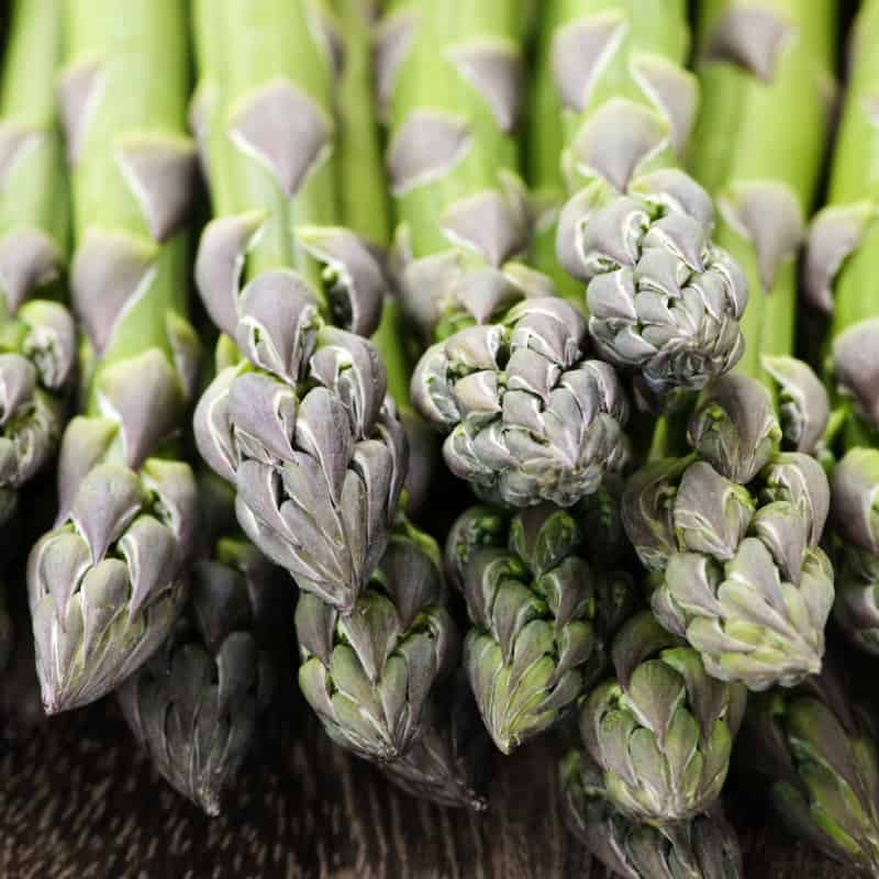 Farm-to-table-51