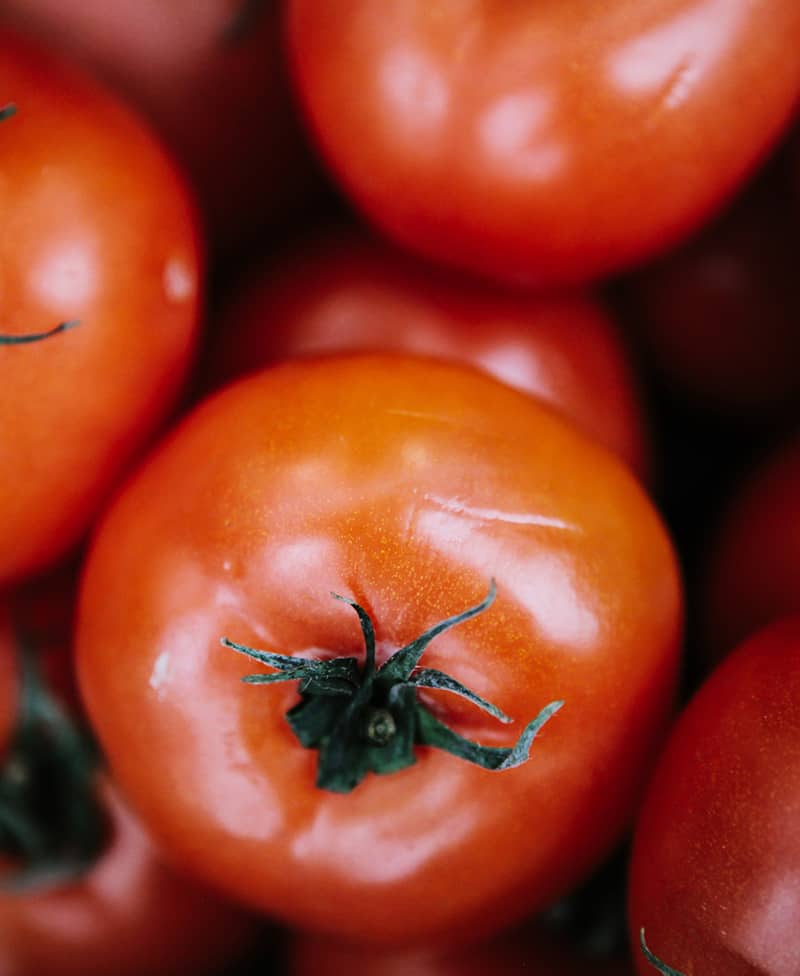 Farm-to-table-63