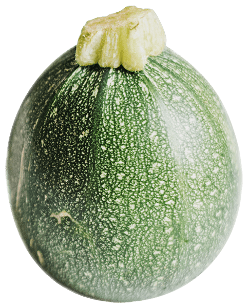 Farm-to-table-64