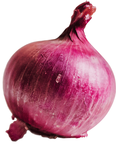 Farm-to-table-65